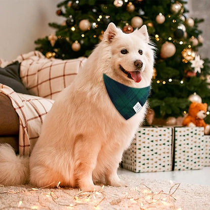 E-Clover Dog Bandanas Boy & Matching Scrunchie Set