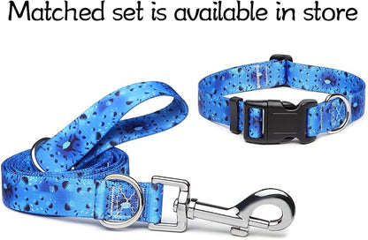Adjustable Dog Collar with Patterns