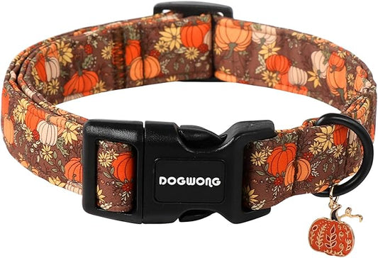 DOGWONG Fall Pumpkin Dog Collar- Design Fall Holiday