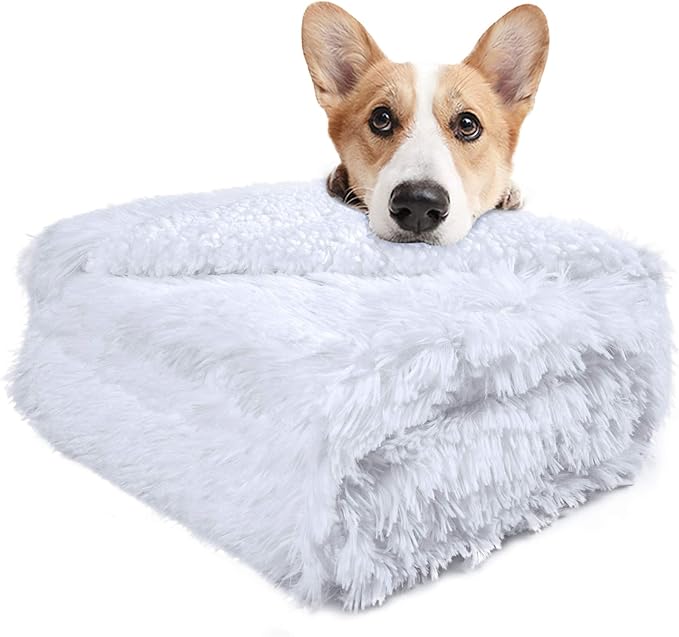 LOCHAS Luxury Fluffy Dog Blanket 20''x30'' White