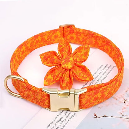 Beirui Cute Girl Dog Collars for Female Dogs