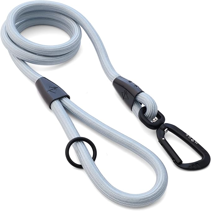 MADE TO ROAM Premium Everyday Leash 6ft (Rubber