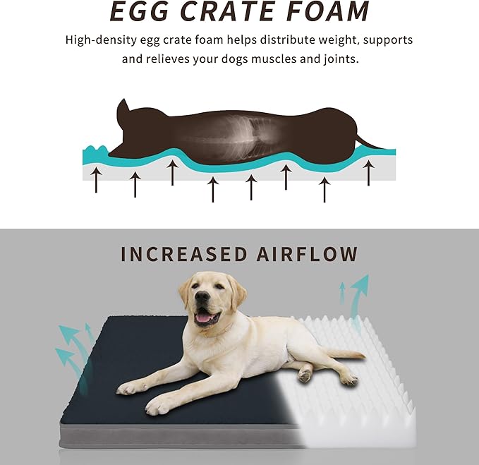 Easy-Going Dog Bed for Small Dogs (20x15x3 in,