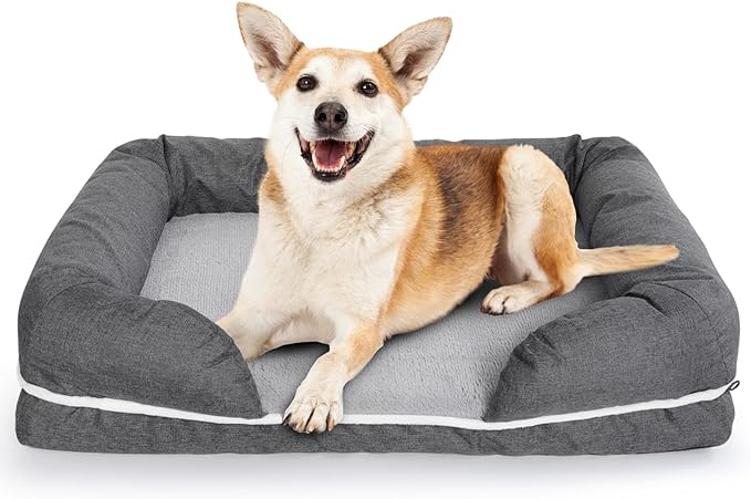 Solid Memory Foam Dog Bed