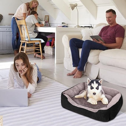 PUPPBUDD Dog Beds for Medium Dogs