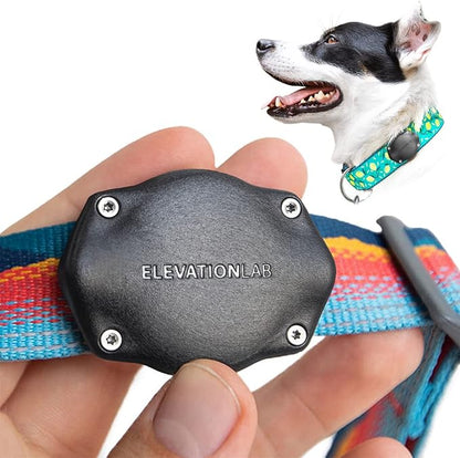 TagVault™ AirTag Dog Collar Mount - IP68 Waterproof, Doesn't Dangle, Fits All Width Collars | Elevation Lab