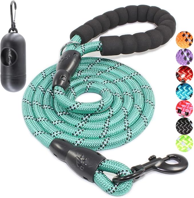 BAAPET 2/4/5/6 FT Dog Leash with Comfortable Padded Handle and Highly Reflective Threads for Small Medium and Large Dogs (6FT-1/2''