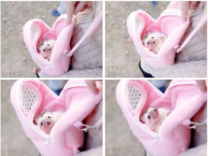 1 PCS Portable White Mesh African Hedgehog Hamster Breathable Pet Dog Carrier Bags Handbags Puppy Cat Travel Backpack (S, White Mesh - Green)