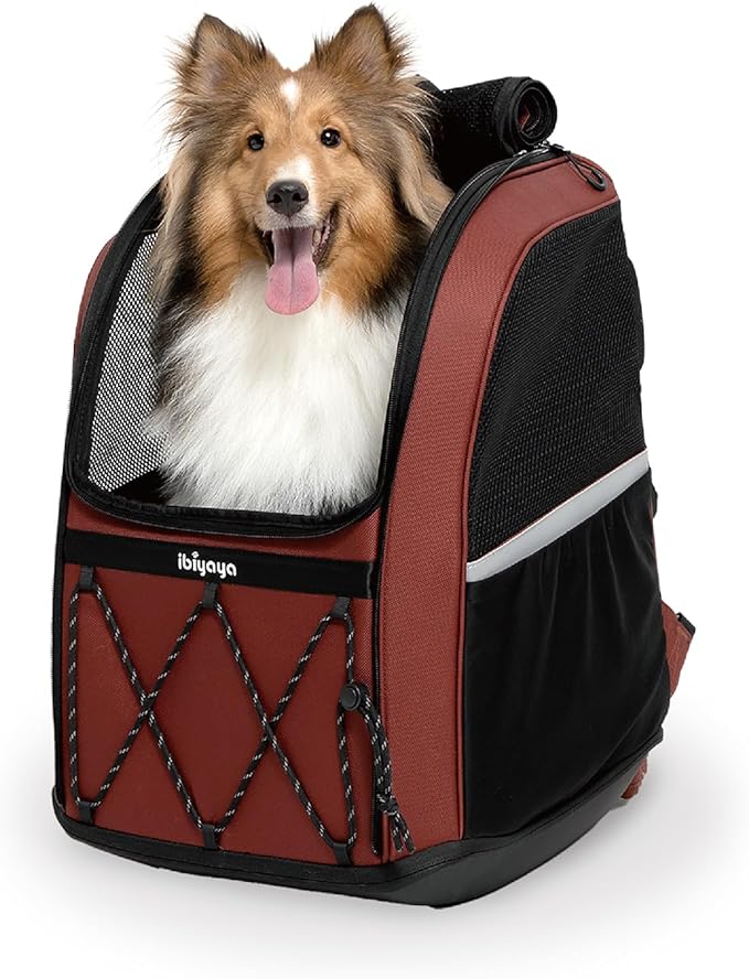 ibiyaya - Pet Carrier for Medium and Large Dogs - Champion 3-in-1 Large Dog Backpack Carrier with Water Resistant Fabric, Extra Storage, and Minimalist Folding and Storage - Maroon