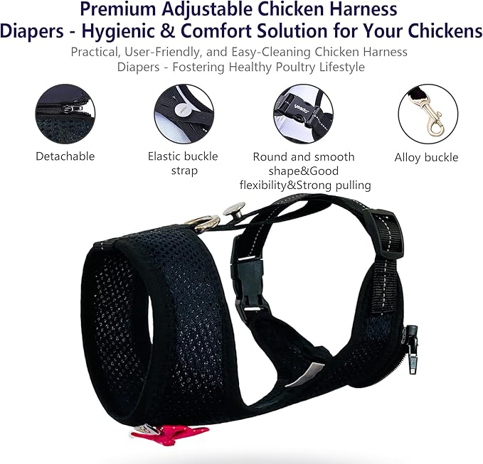 Chicken Harness Hen Size with 6ft Matching Leash – Adjustable, Resilient, Comfortable, Breathable, Large, Suitable for Chicken Weighing About 6.6 Pound,Black