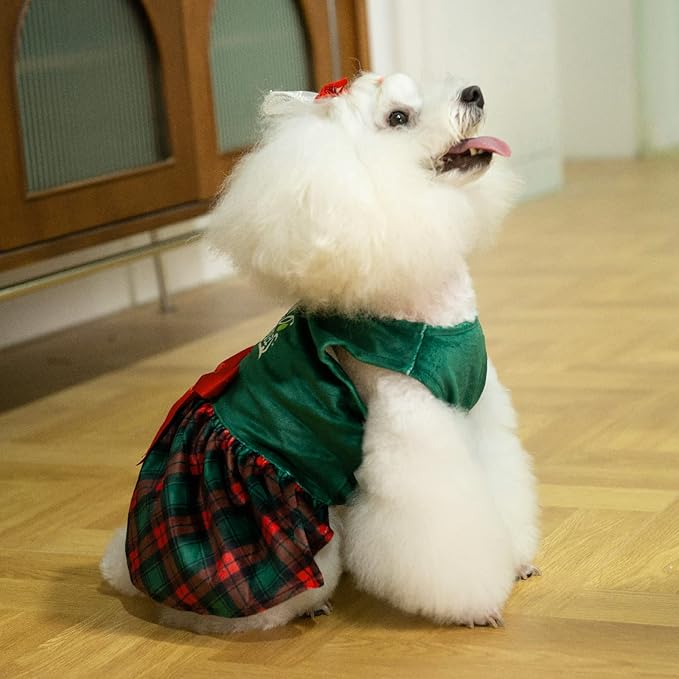 CuteBone Christmas Tree Dog Dress Velvet for Small Dogs Girl Puppy Dresses Green Plaid Dog Clothes CVA05L-D