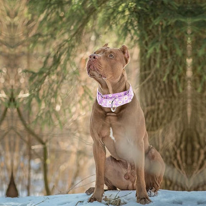 Martingale Collar 1.5 Inches Wide Girl Dog Collar