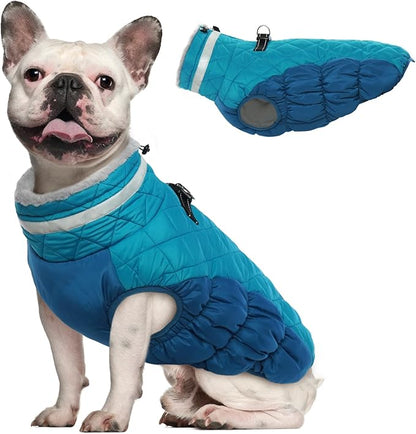 Dog Coat