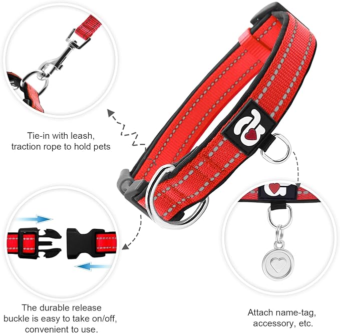 azuza Reflective Dog Collar with Airtag Holder