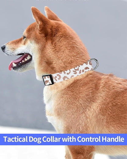 Dog Collar