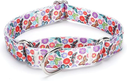 Martingale Dog Collars White3)
