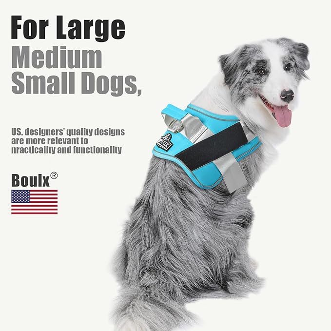 Bolux Dog Harness, No-Pull Reflective Dog Vest, Breathable Adjustable Pet Harness with Handle for Outdoor Walking - No More Pulling, Tugging or Choking (OceanicBlue, Large (Pack of 1))