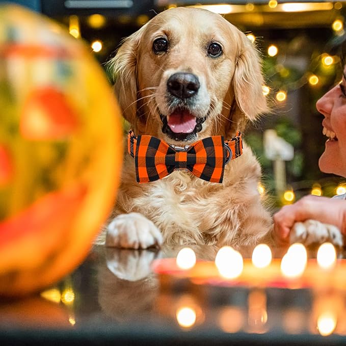 Lionheart glory Dog Collar Fall Dog Collars with Bow Tie Halloween Dog Collar Bow Female Male Pet Collar Dogs Collar Bows Duty Adjustable Dog Bow Collars for Small Dogs