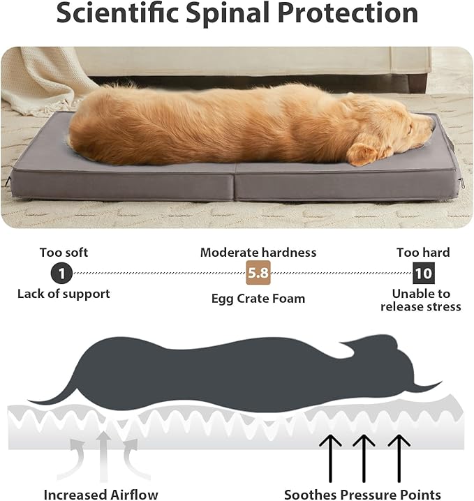 RRPETHOME Waterproof Outdoor Dog Beds Large Sized Dog