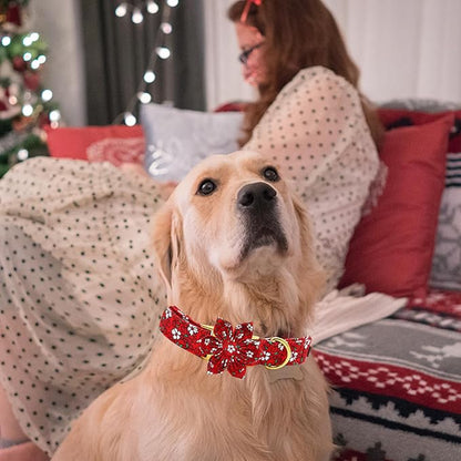 Elegant little tail Dog Collar with Flower