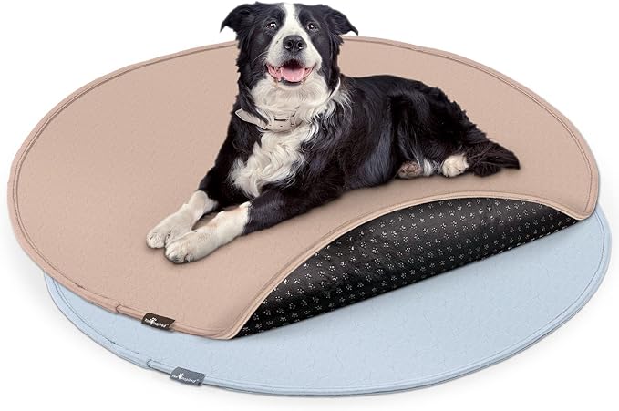 Paw Inspired Round Washable Pee Pads for Dogs (48" (2