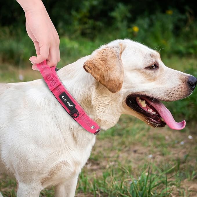 KOOLTAIL Tactical Dog Collar with Handle-Heavy Duty Dog Collar for Military Training