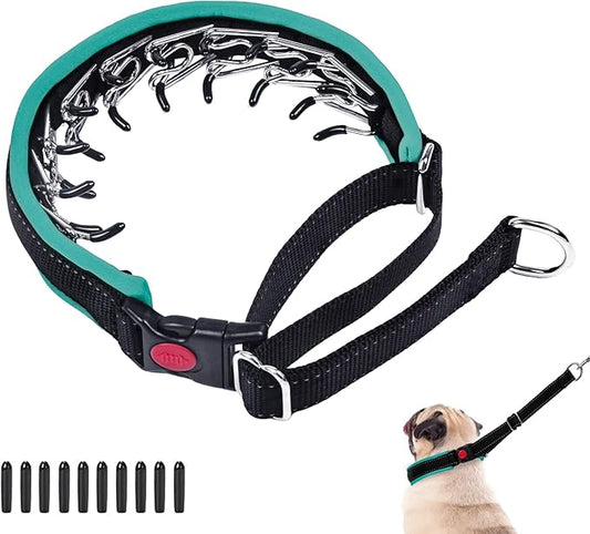 Martingale Collar for Dogs