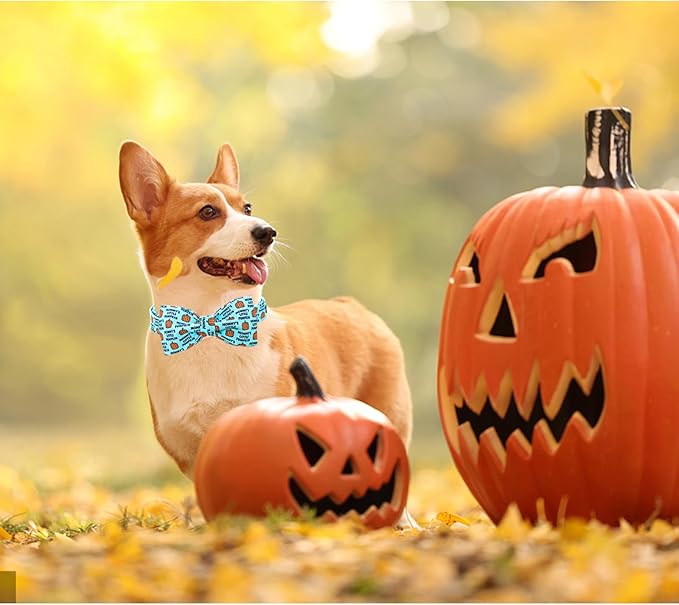 Lionheart glory Dog Collar Fall Dog Collars Halloween Pumpkin Bow Female Male Pet Collar Dogs Collar Bows Duty Adjustable Dog Bow Collars for Small Dogs Puppy