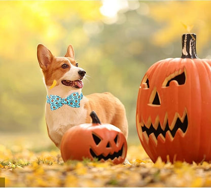 Lionheart glory Dog Collar Fall Dog Collars Halloween Pumpkin Bow Female Male Pet Collar Dogs Collar Bows Duty Adjustable Dog Bow Collars for Small Dogs