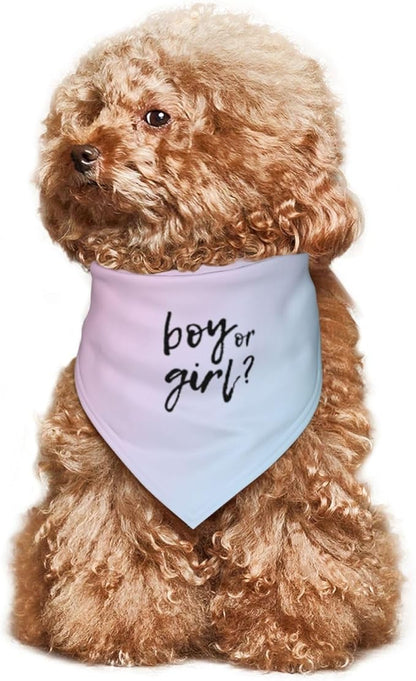 He Or She What Will It Be? Gender Reveal/Baby Announcement Dog Bandana,Pet Neckerchief for Pets Daily Wear Photo Prop Party Supplies (Gradient)