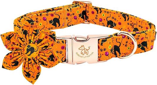 Elegant little tail Halloween Dog Collar
