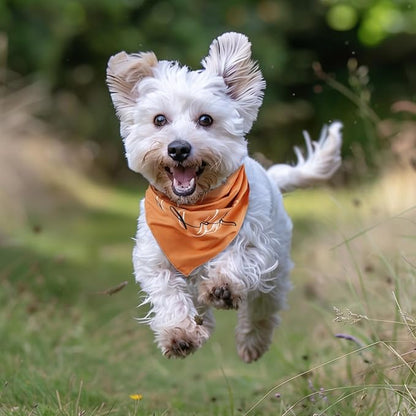 Fall Dog Bandana 2 Pack Thanksgiving Dog Bandanas Pumpkin Pet Scarf Reversible Fall Triangle Bibs Soft Cotton Boy Girl Dog Bandanas Accessories for Small, Medium, Large Dogs (Small)