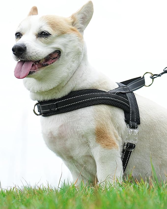 Black Small Dog Harness No Pull Dog Harness for Small Dogs Puppy Harness with Breathable Mesh Padded Adjustable Reflective Lightweight Escape Proof Dog Harness Small Sized Dog Easy Walk