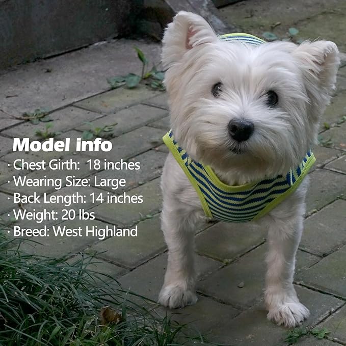 KYEESE 2Pack Dog Shirts Striped for Small Dogs Soft Stretchy Dog T-Shirts Lightweight Dog Tank Top Sleeveless Dog Vest Breathable