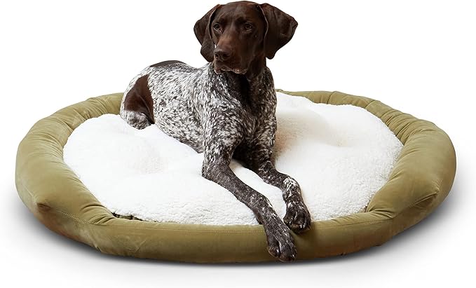 Maddie Donut Dog Bed with Removable Center Pillow (42" x 42")
