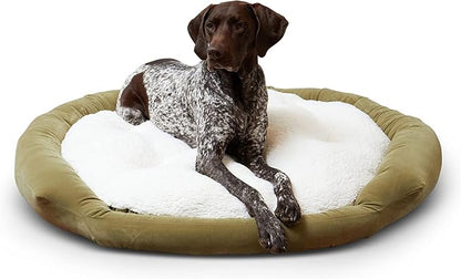 Maddie Donut Dog Bed with Removable Center Pillow (42" x 42")