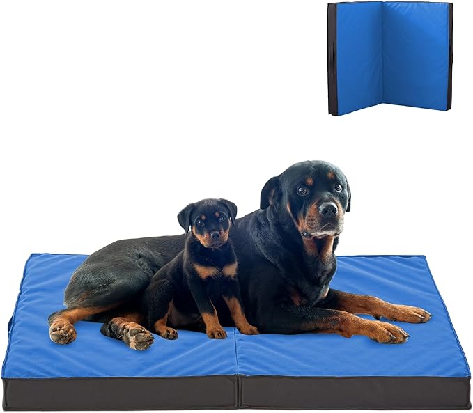 Outdoor Dog Beds for Large Dogs 41inch All