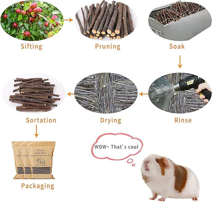 600g Apple Sticks Molar Treats, Rabbit Toys Bunny Toys Chinchilla Toys Wood Chews for Teeth Rabbit Food Guinea Pig Hamster Gerbil Toy Sticks Pet Snacks(150 Pcs)