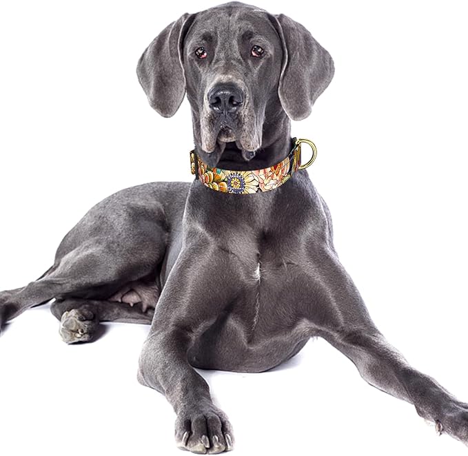 Reflective Dog Collar