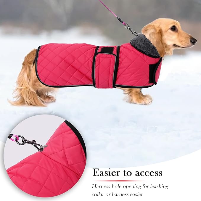 Geyecete Warm Thermal Quilted Dachshund Coat