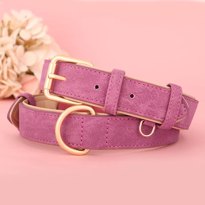 Didog Soft Padded Leather Dog Collar