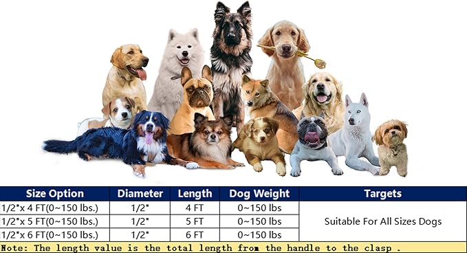 Heavy Duty Dog Leash for Large Medium Small Breed Dogs Handle,4/5/6 FT Holder,Black,1/2 inch