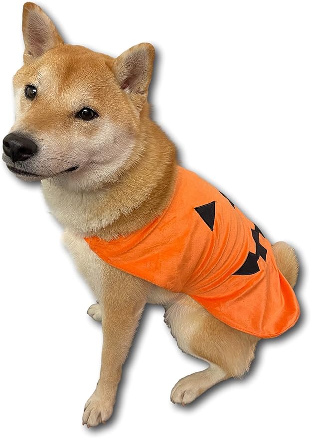 ComfyCamper Pumpkin Dog Costume - X Large Medium Small Shepherd French Lab Retrieve Pet Cosplay Halloween Costumes (Small)