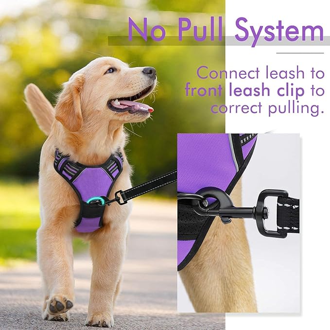 rabbitgoo Dog Harness, No-Pull Pet Harness with 2 Leash Clips, Adjustable Soft Padded Dog Vest, Reflective No-Choke Pet Oxford Vest with Easy Control Handle for Large Dogs, Purple, XL