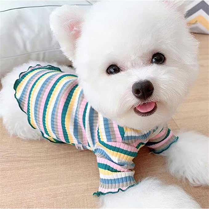 Small Medium Dog Clothes Rainbow Striped Dog Shirts Stretchable Long Sleeve Cat T-Shirt Pet Outfits for Chihuahua Yorkie Teddy (Green Edge