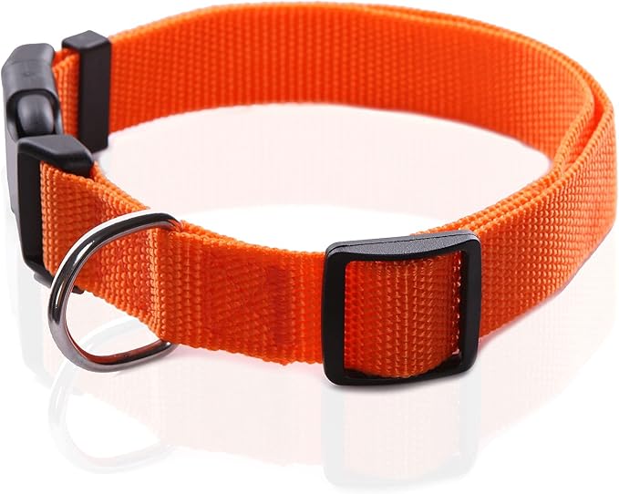 Adjustable Nylon Dog Collar, pet collar 1 Inch 3/4 Inch 5/8 Inch Wide, for Large medium Small Dogs (L(1" x 16-23"), ORANGE)