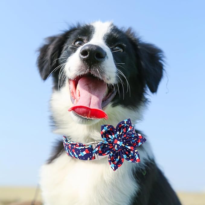 American Flag Dog Collar with Flower 4th of 13.5-22in