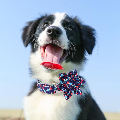 American Flag Dog Collar with Flower 4th of 13.5-22in