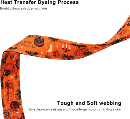 Lionet Paws Halloween Dogs Collar Orange 13.5-22 inches