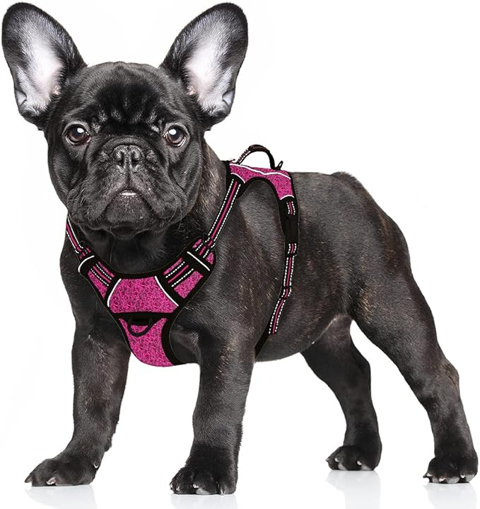 BARKBAY No Pull Dog Harness Large Step in Reflective Dog Harness with Front Clip and Easy Control Handle for Walking Training Running with ID tag Pocket(Pink/Black,S)